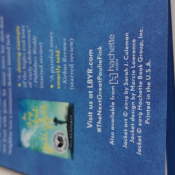 The Next Great Paulie Fink This is how you become a legend by Ali Benjamin - Picture 12 of 12